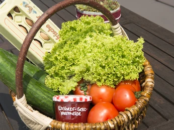 Radeln auf der Glandorfer Spargelroute Basket with fresh vegetables, tomatoes, lettuce and cucumber as well as egg carton on wooden table.