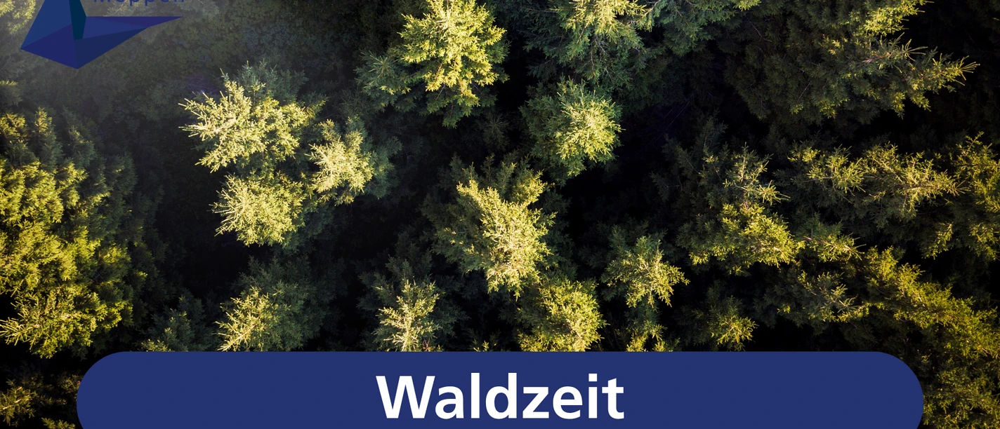 Waldzeit.png