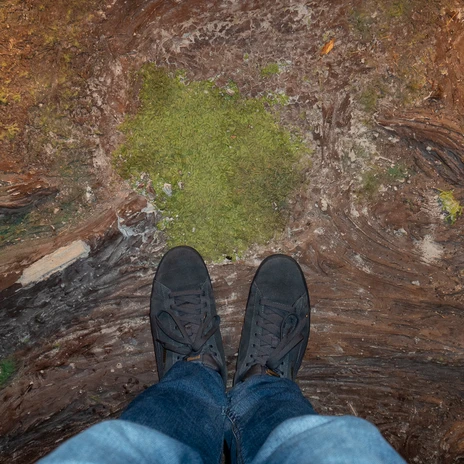 Hidden-in-BS-05.jpg