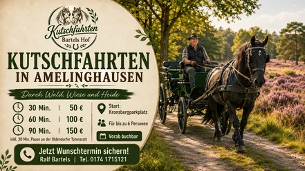 Pferdekutsche fährt durch blühende Heide bei Amelinghausen mit Infotafel zu Kutschfahrten