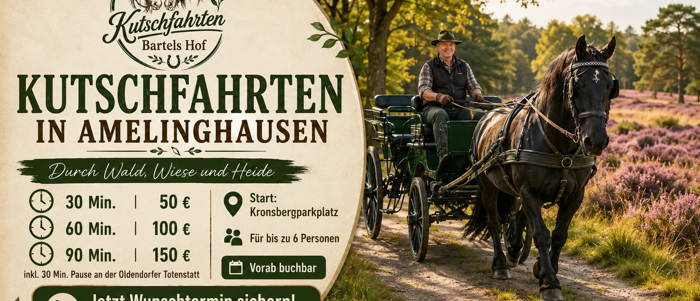 Pferdekutsche fährt durch blühende Heide bei Amelinghausen mit Infotafel zu Kutschfahrten
