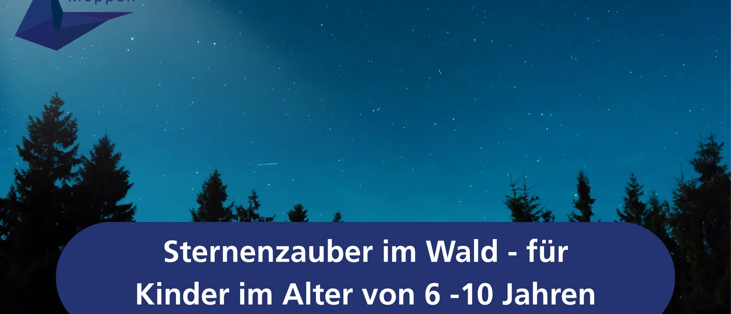 Sternenzauber im Wald - für Kinder im Alter von 6 -10 Jahren.png