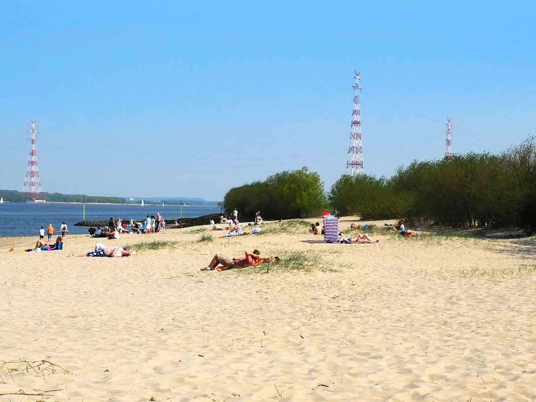 ELS_0578136213a.jpg