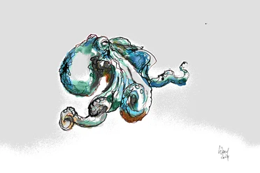 Zeichnung eines türkisblauen Kraken vor einfarbigem Hintergrund