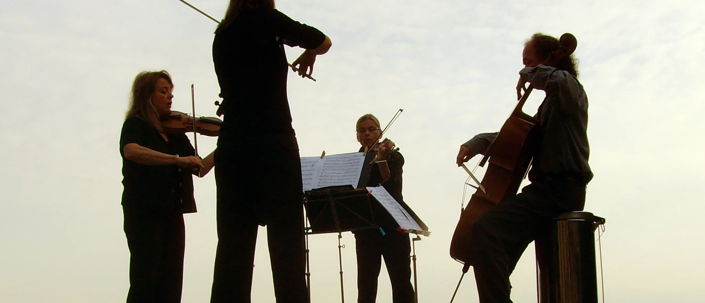 11.10.26_Open String Quartet_c_W.M. Stroh.jpg