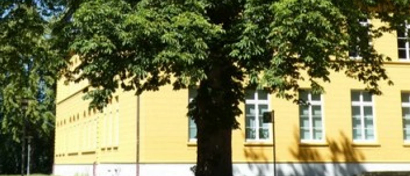 Baumspaziergang Ratzeburg