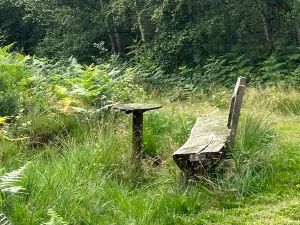Eine weitere Rastmöglichkeit am Moorpfad