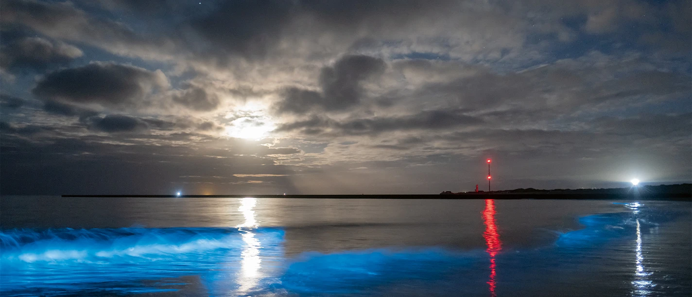 Meeresleuchten_Noctiluca_Südstrand_Westerems_UMa_Mizar + Alkor_Vir + Spica_Darksky_LB_230430_ThoA_DSF8838_cut_sRGB_final_70x50.jpg