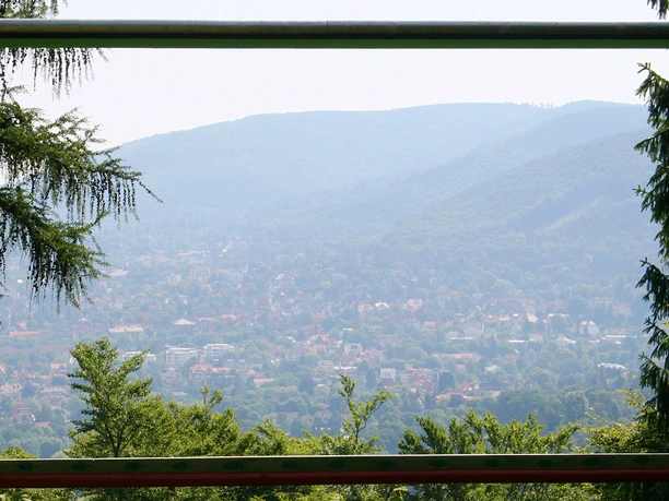 harzburger-fenster