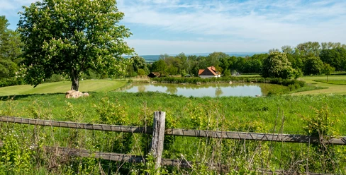 golfplatz-bad-harzburg-teich