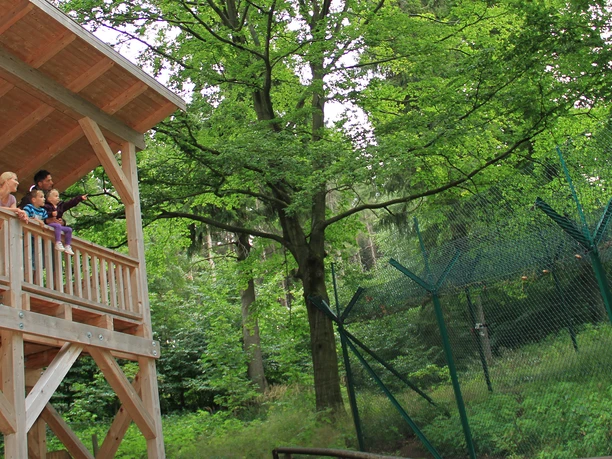 Luchsgehege-Beobachtungsstation