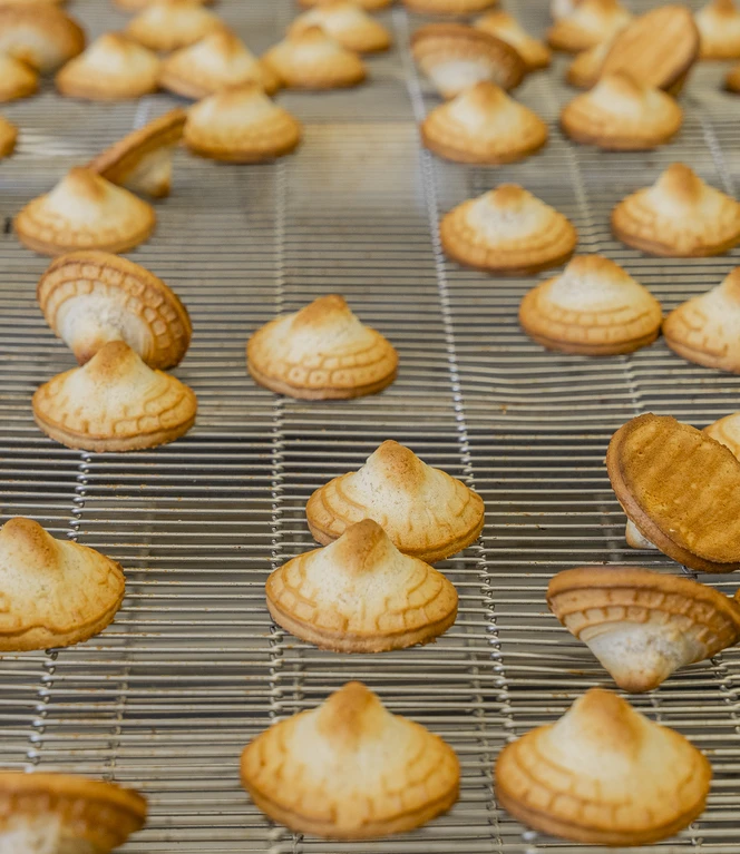 Goldapfel©Manuela Gili-1034282.jpg
