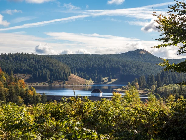 Eckertalsperre Staumauer