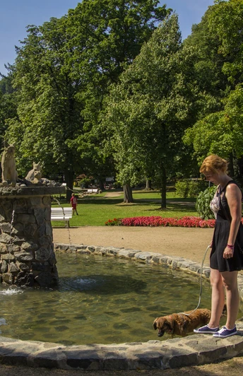 Luchsbrunnen im Kurpark