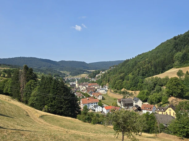 Blick auf Bad Peterstal