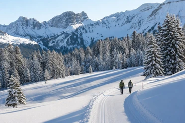 Von Gang zu Gang durchs Wintermärchen Sörenberg