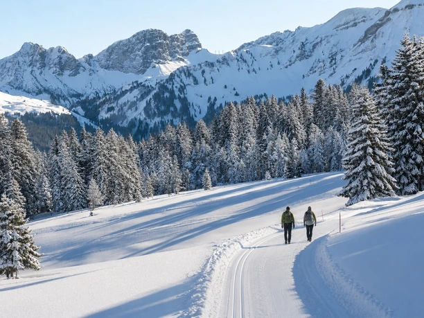 Von Gang zu Gang durchs Wintermärchen Sörenberg