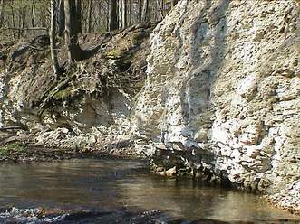 bild2