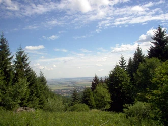 bild2