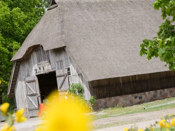 reetgedeckter-schafstall-haverbeck