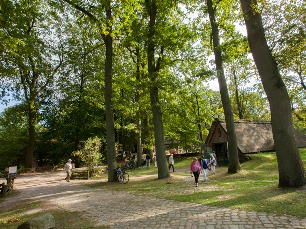 Wilsede Heimatdorf Bispingen