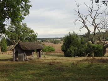 oberhaverbeck-bispingen-heide-bienenzaun