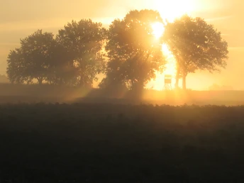 sonnenaufgang-volkwardingen
