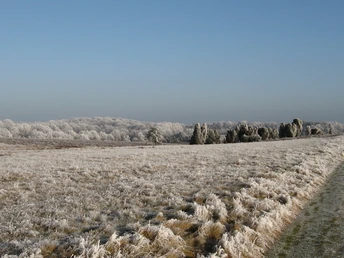 winterlandschaft-lueneburger-heide