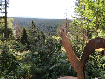 wilkatzenstieg_brocken