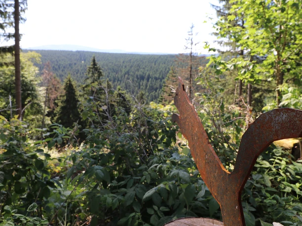 wilkatzenstieg_brocken