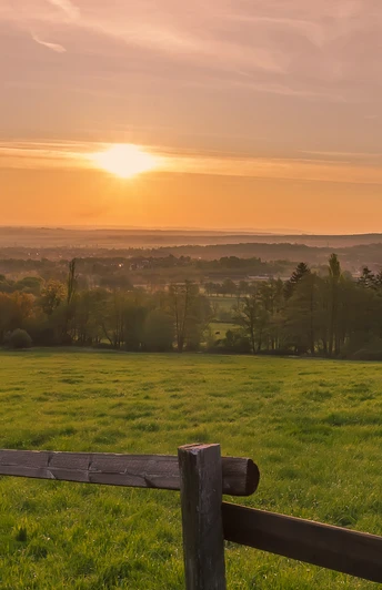 cafegoldbergpferdekoppel