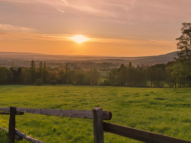cafegoldbergpferdekoppel