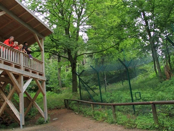 beobachtungsstation_luchsgehege