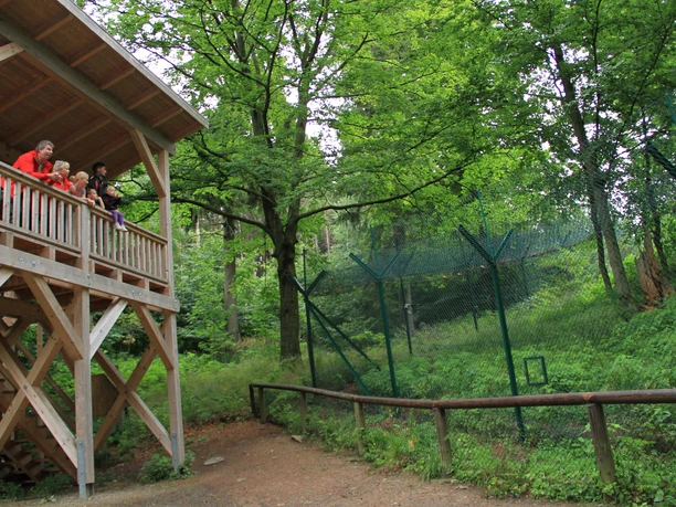 beobachtungsstation_luchsgehege