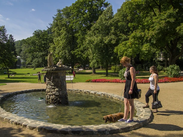Luchsbrunnen im Kurpark