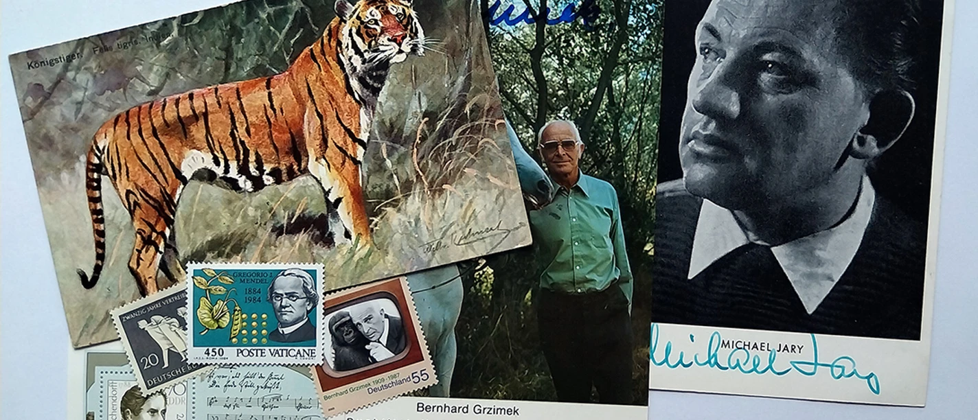Drei Postkarten, zum Teil nachkoloriert, zeigen einen Tiger, eine ältere Person und eine Portraitfoto von Herrn Jary. Auch Briefmarken sind abgebildet.