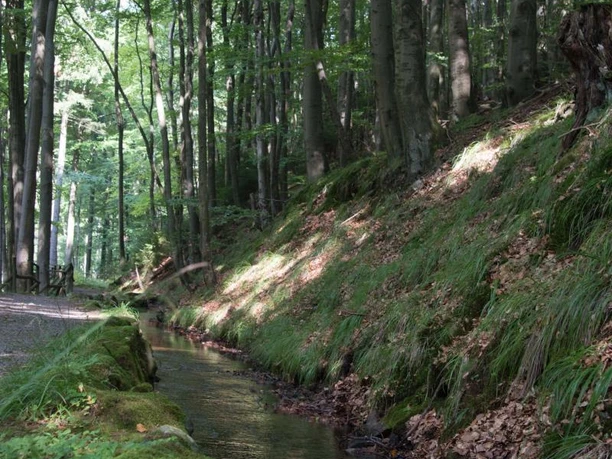 der Weg entlang des angelegten Wasserkanals für den Radau-Wasserfall