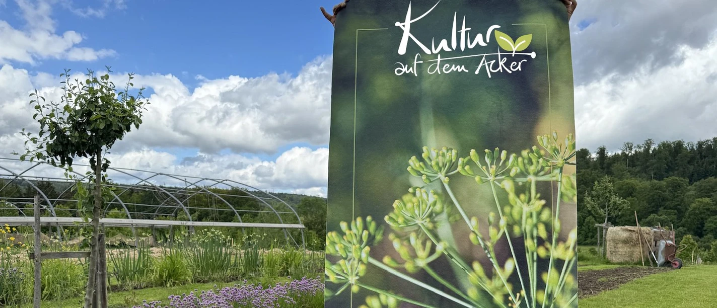 Kultur_Acker
