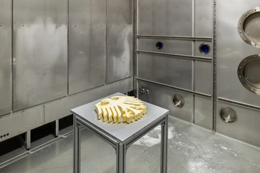 A federal eagle made of butter on a table in a modern, metallic room.