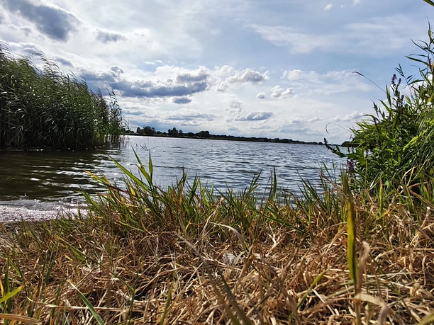 Elbe Blick von Schnakenbek nach Artlenburg