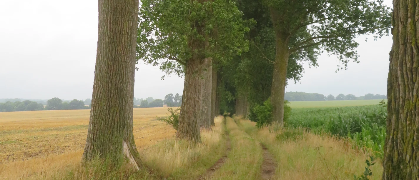 Herbstwanderung