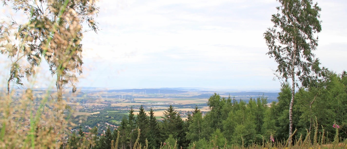 blick_in_richtung_salzgitter