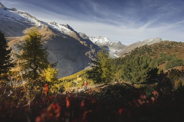 Wandern im Herbst in der Aletsch Arena