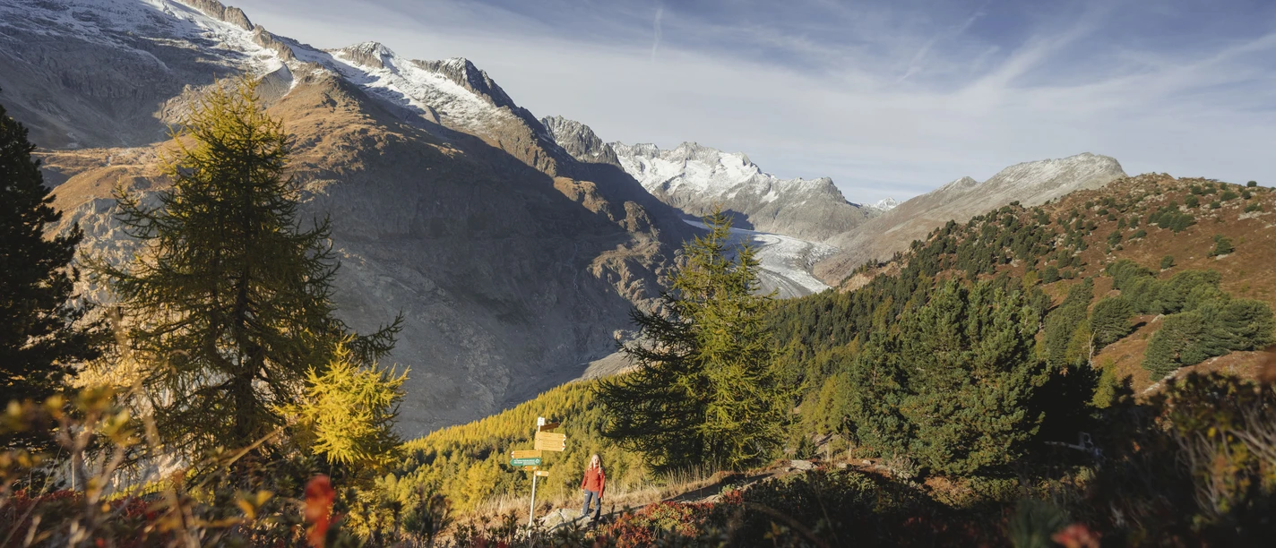 Wandern im Herbst in der Aletsch Arena