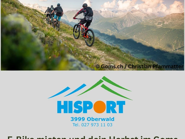 Goldener Herbst. Klare Lufr Dein Bike Moment im GOms(2).png