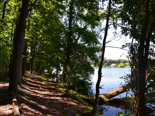 Wanderweg am Kalksee