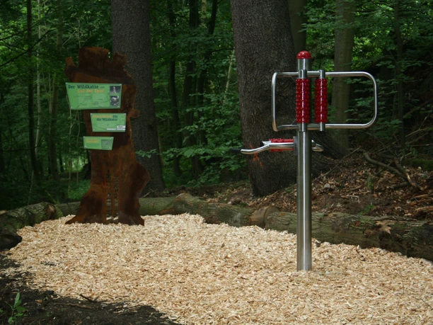 Wildkatzen- Walderlebnispfad