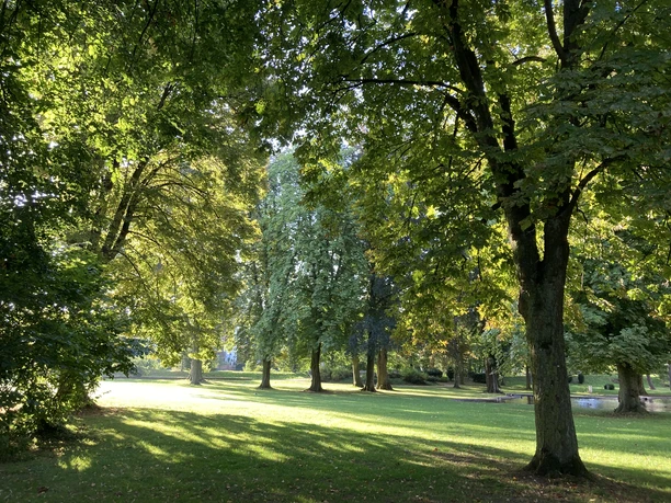 Dickhardt Coaching Kurpark Bad Vilbel.jpg