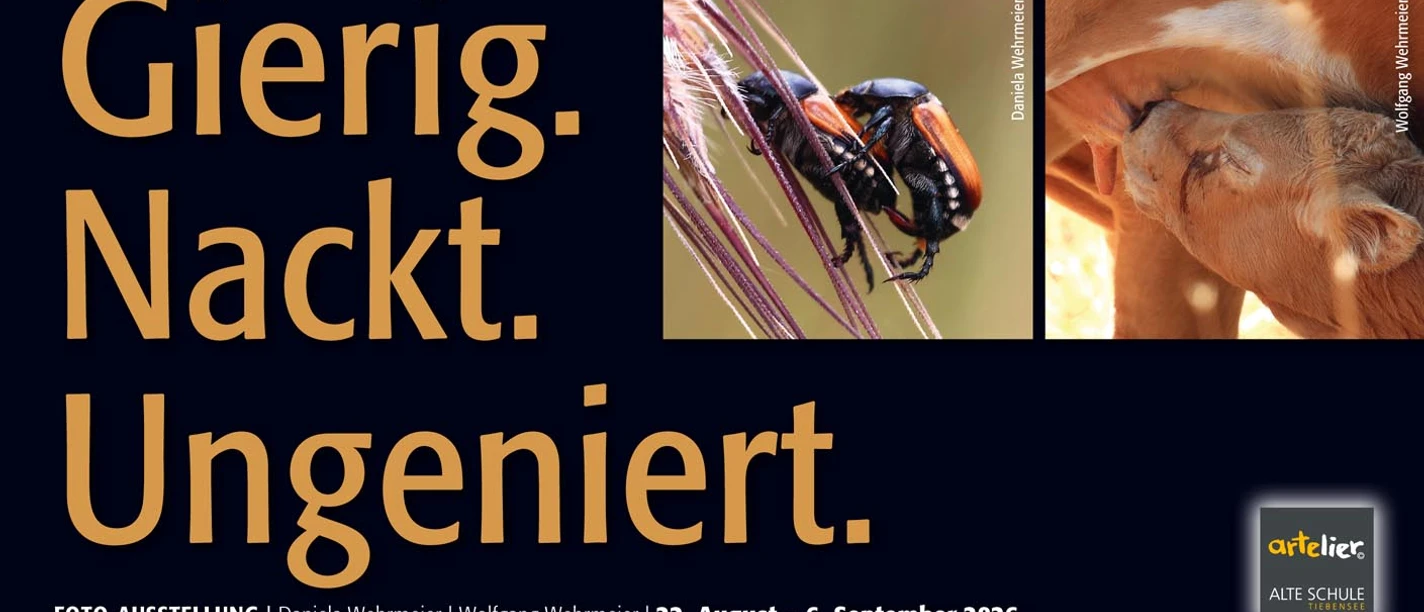 KuGri_Einladung.jpg