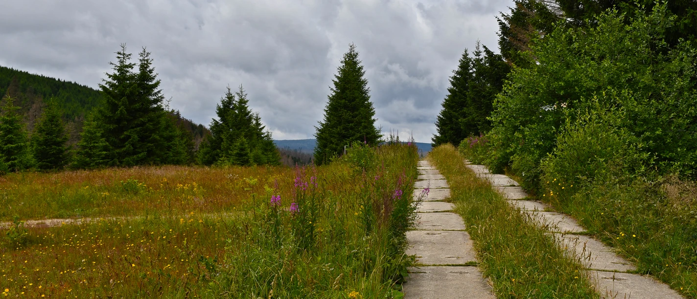 Wurmberg_(Juli_2022)_7.jpg